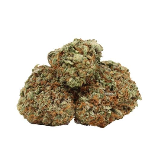 King Louis XIII strain cannabis