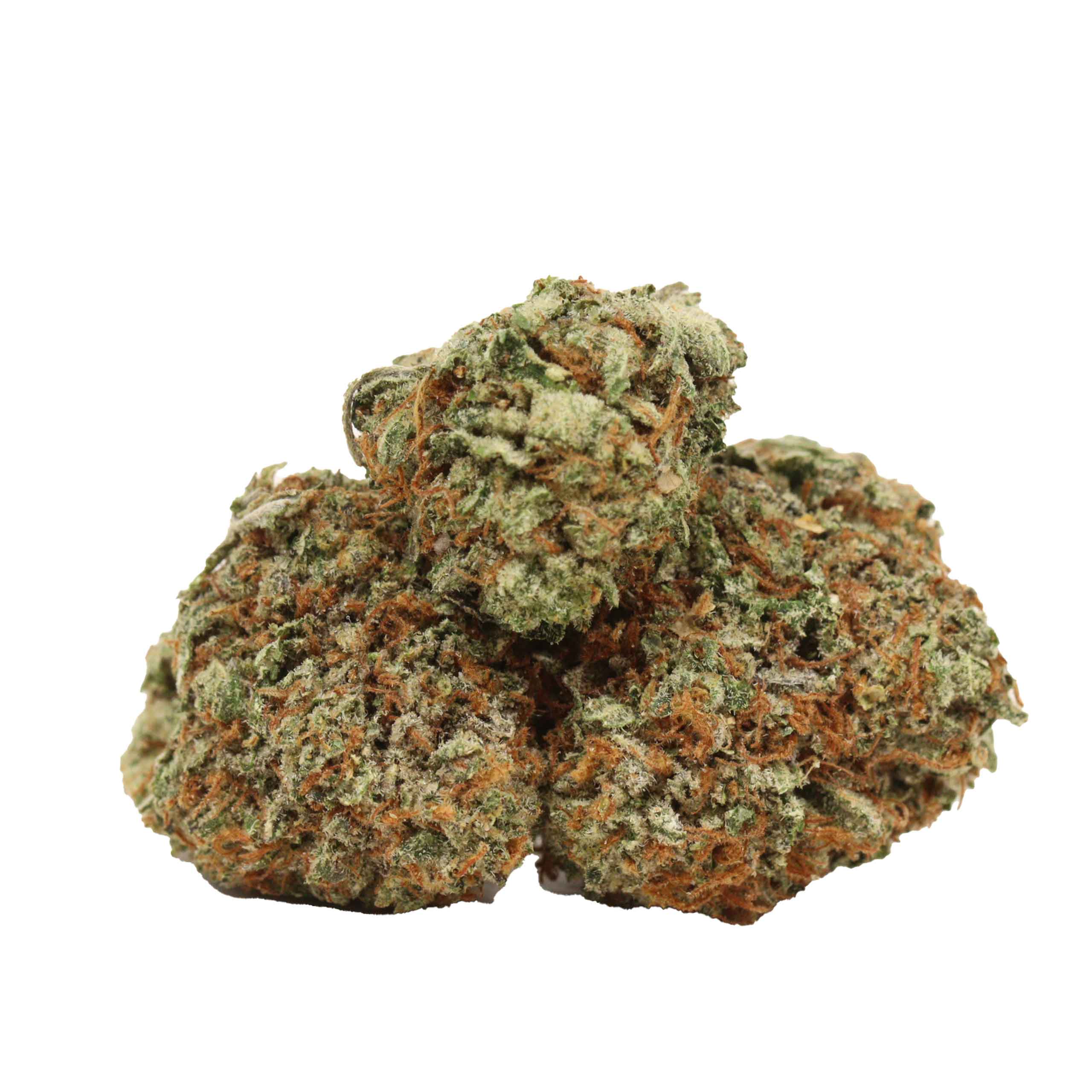 King Louis XIII strain cannabis