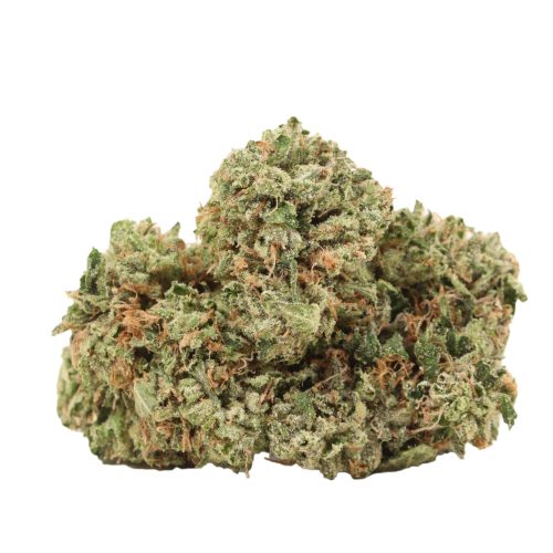 King Louis XIII strain cannabis