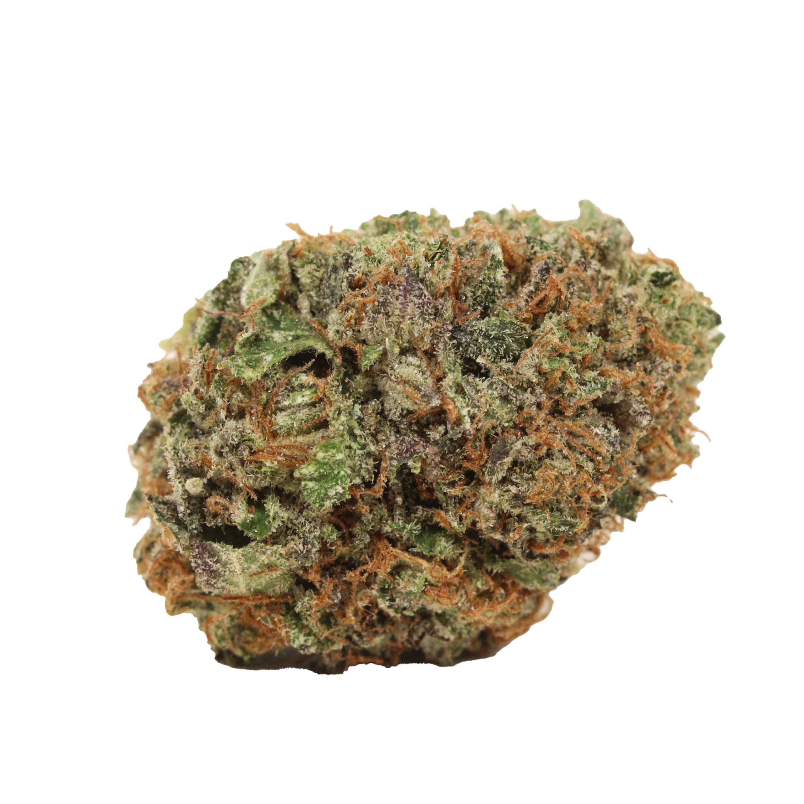 King Louis XIII - Image 2