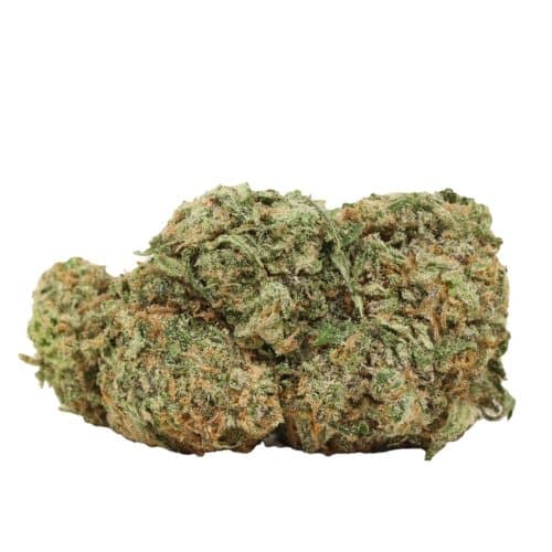 Lemon Skunk strain cannabis