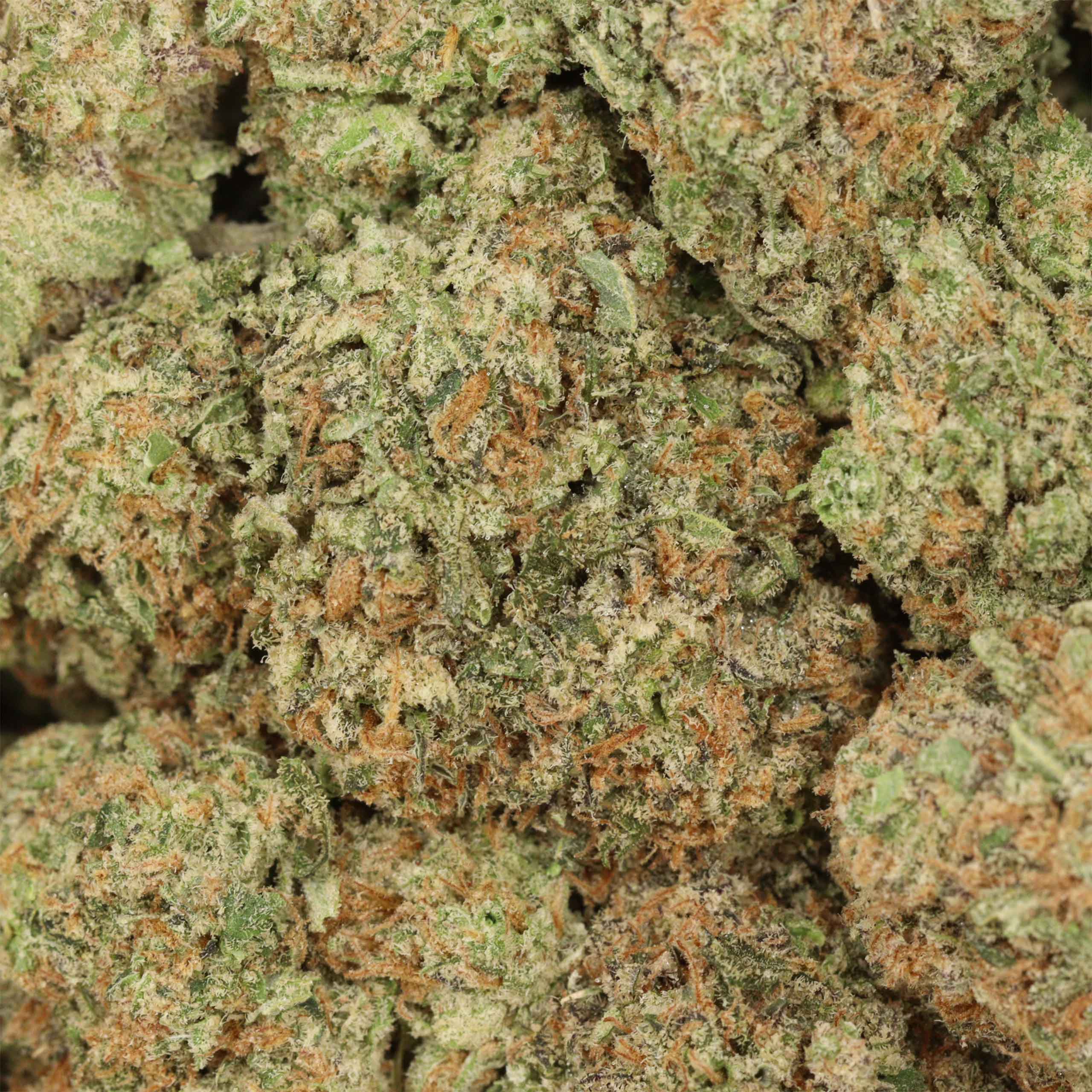 Lemon Skunk - Image 3