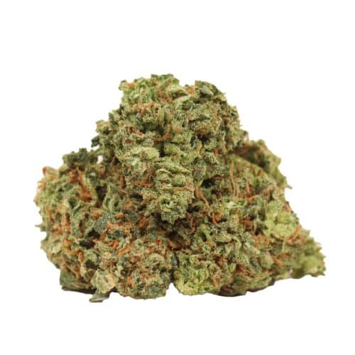 Lemon Sour Diesel strain cannabis