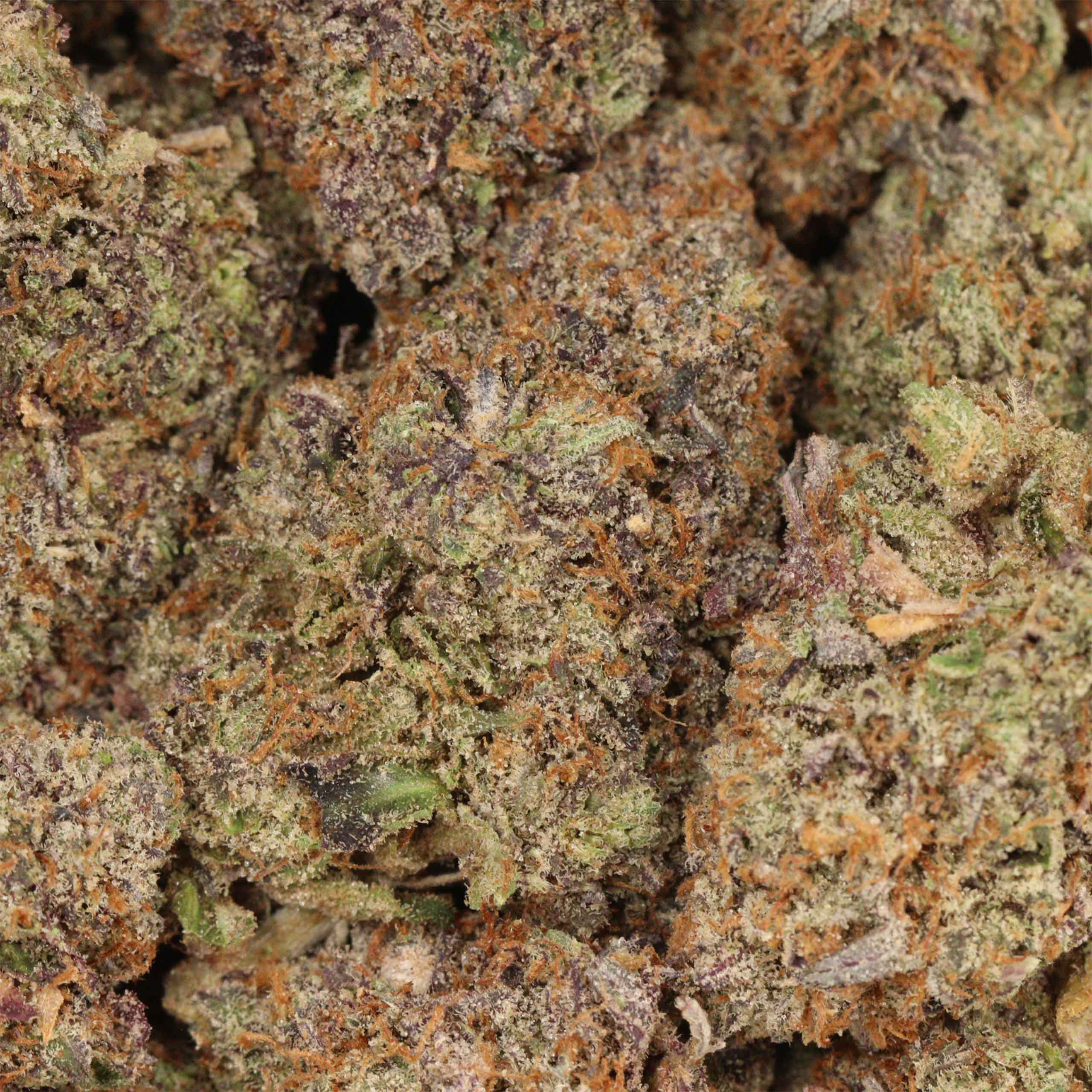 Mike Tyson OG - Image 3