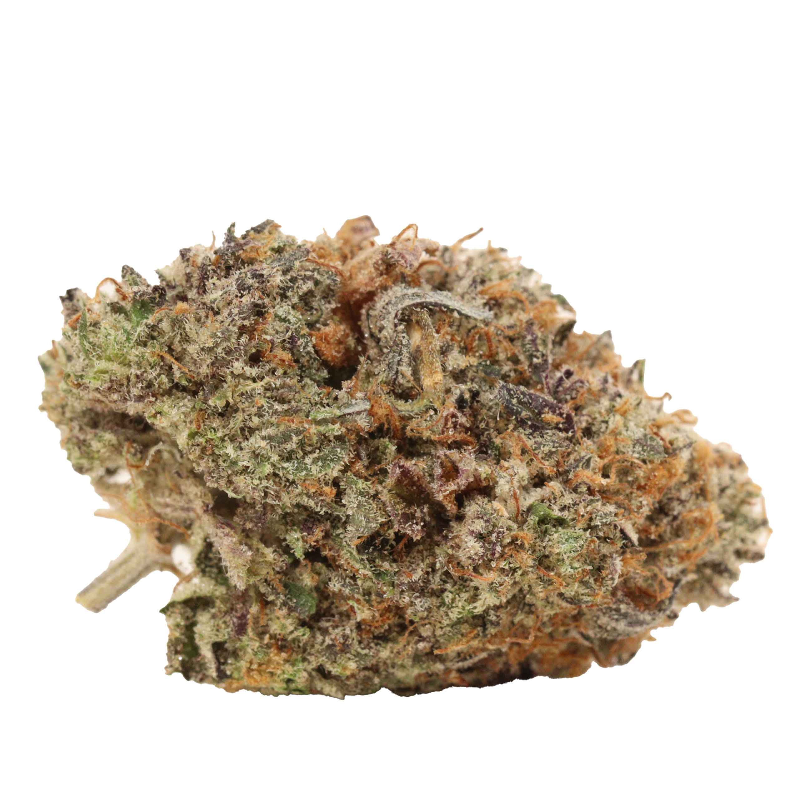Mike Tyson OG - Image 2