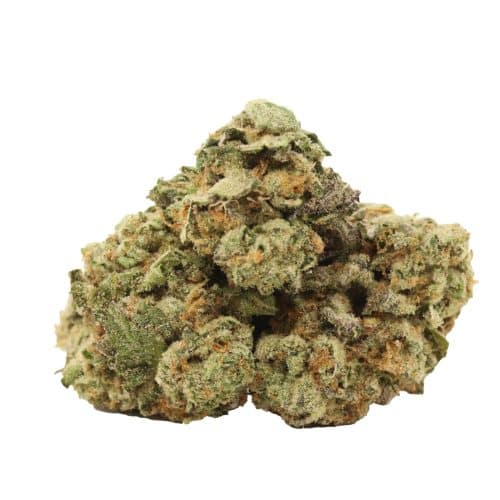 Mimosa strain cannabis