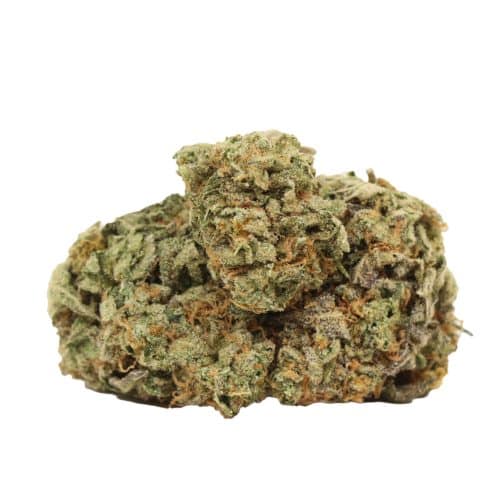 Money Maker strain cannabis