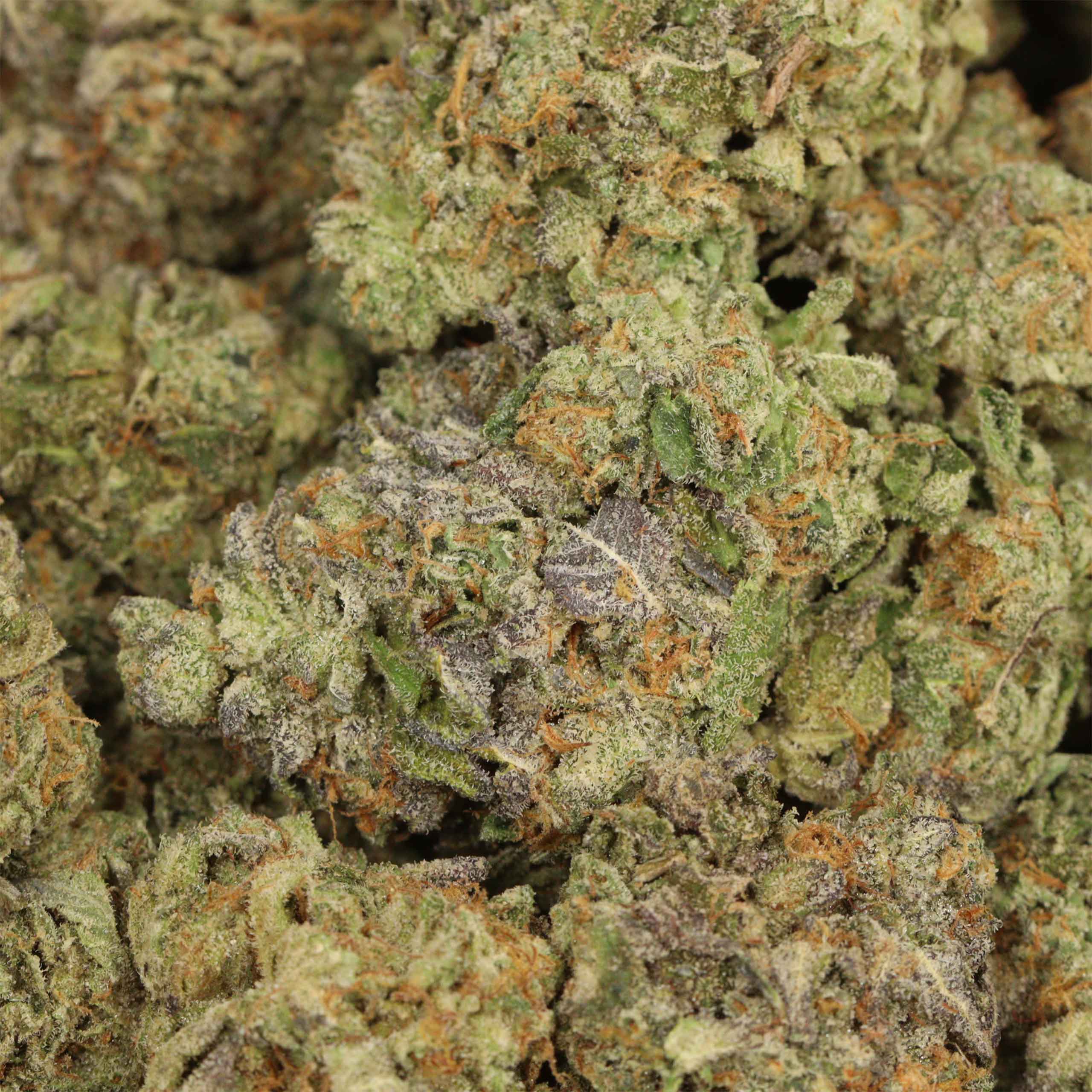 Money Maker - Image 3