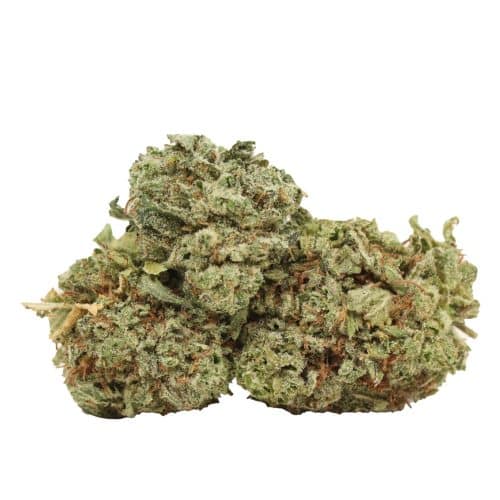 Nuken strain cannabis