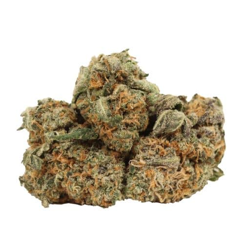 OG Kush strain cannabis