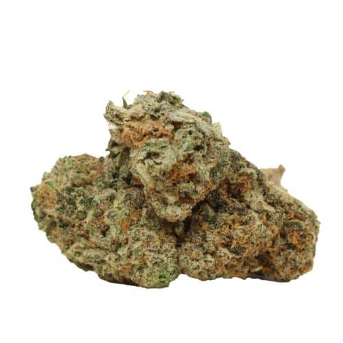 OMFG strain cannabis