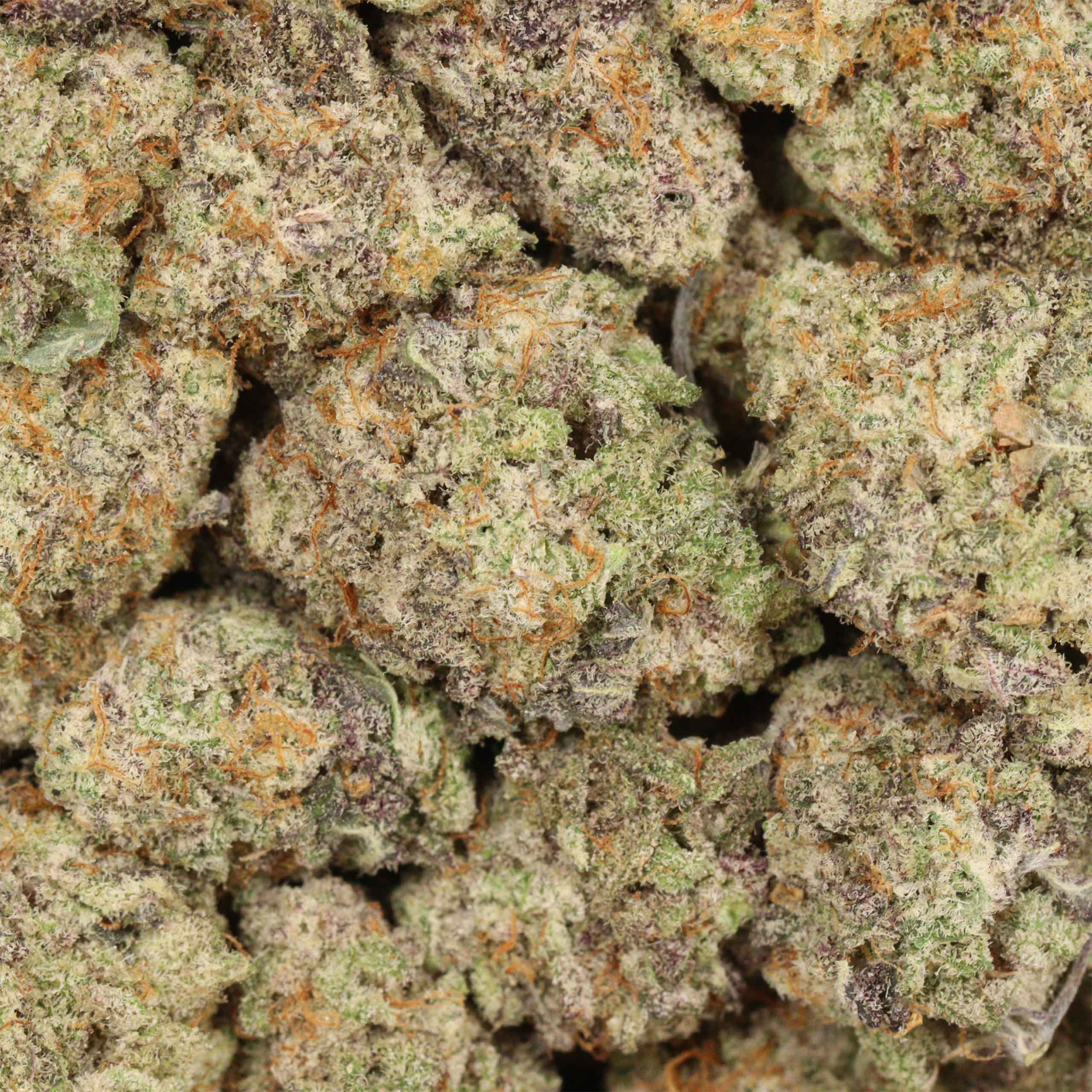 Pineapple Express - Image 3