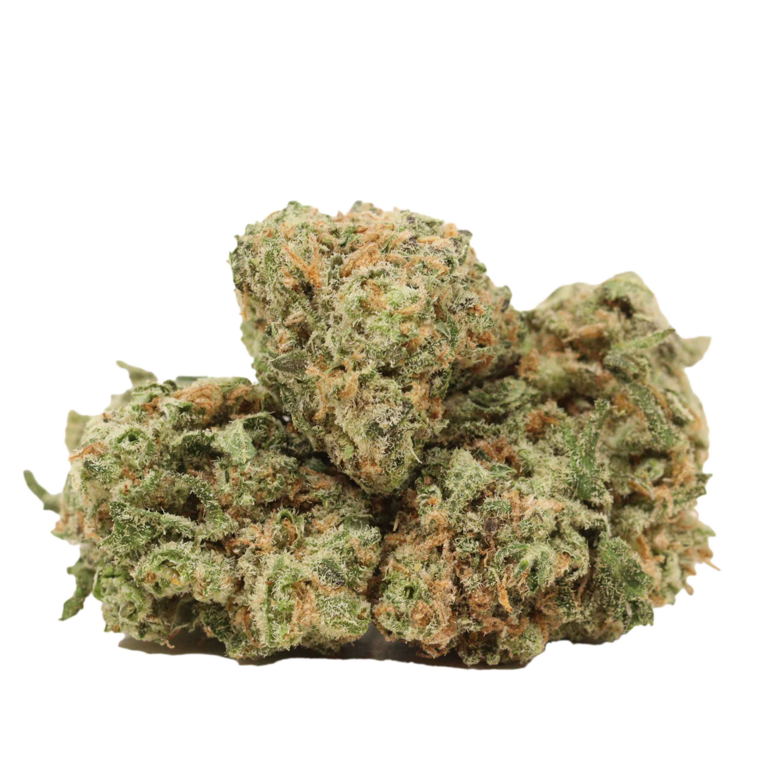 Pineapple Fanta strain cannabis