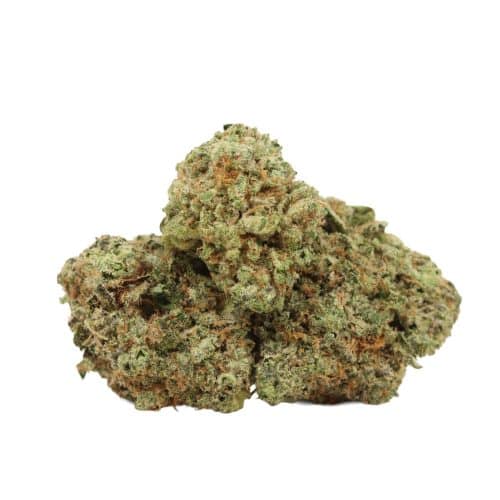 Pineapple Fanta strain cannabis