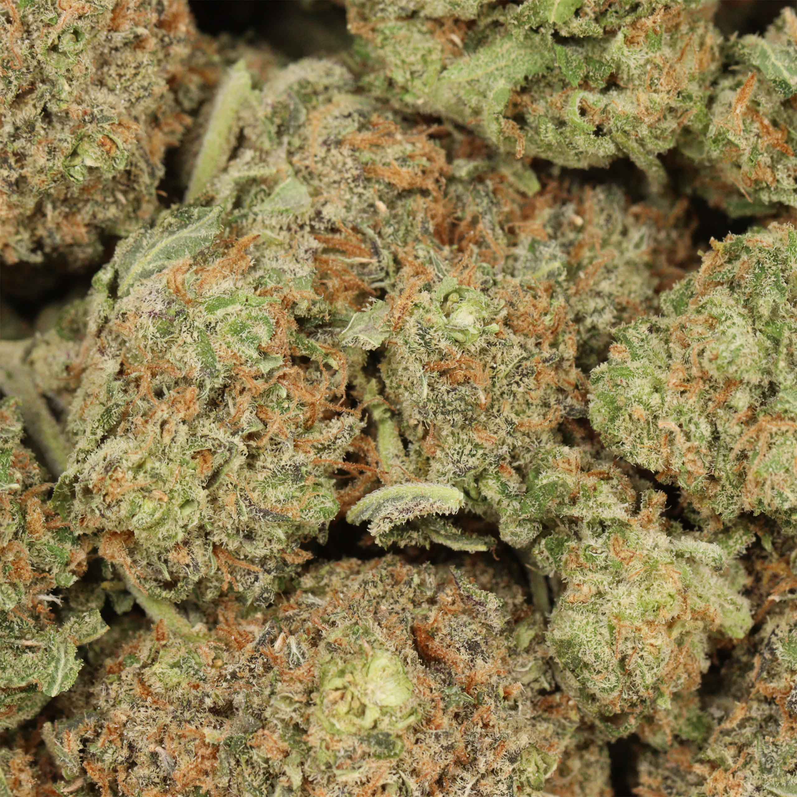 Pineapple Fanta - Image 3