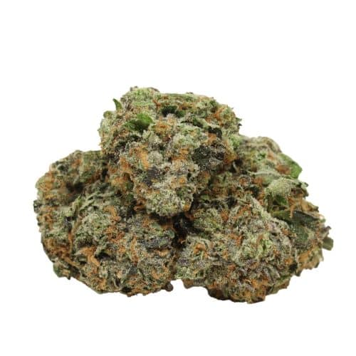 Pink Banner craft strain cannabis