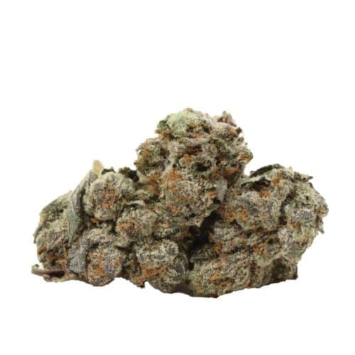 Pink Chapo LSO craft strain cannabis