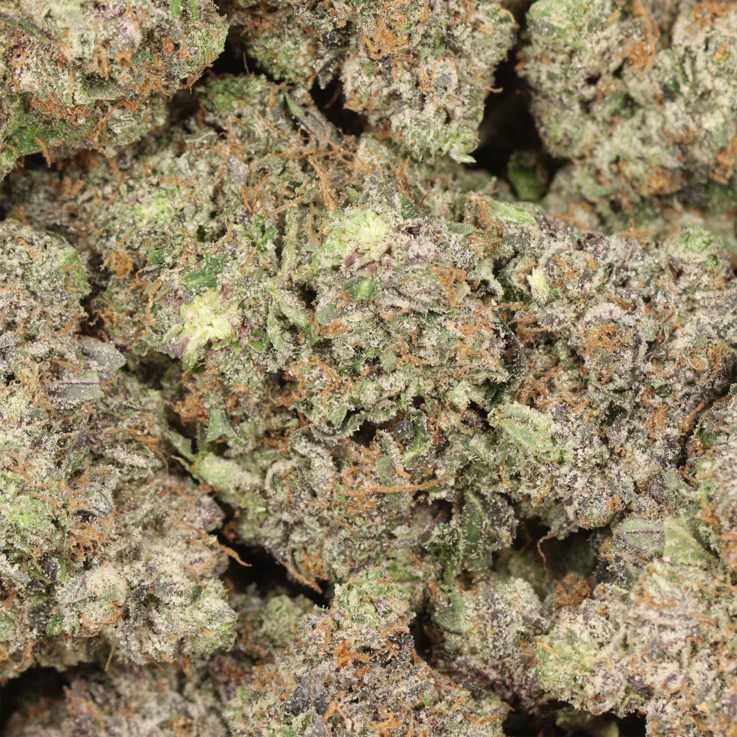 pink chapo craft cannabis