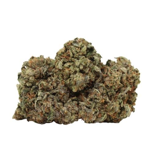 Pink Death strain cannabis