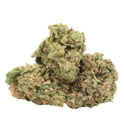 Pink Goo strain cannabis