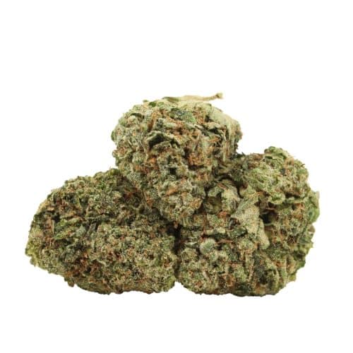 Pink Island Kush strain cannabis