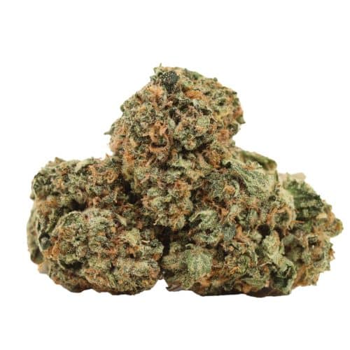 Pink OG strain cannabis