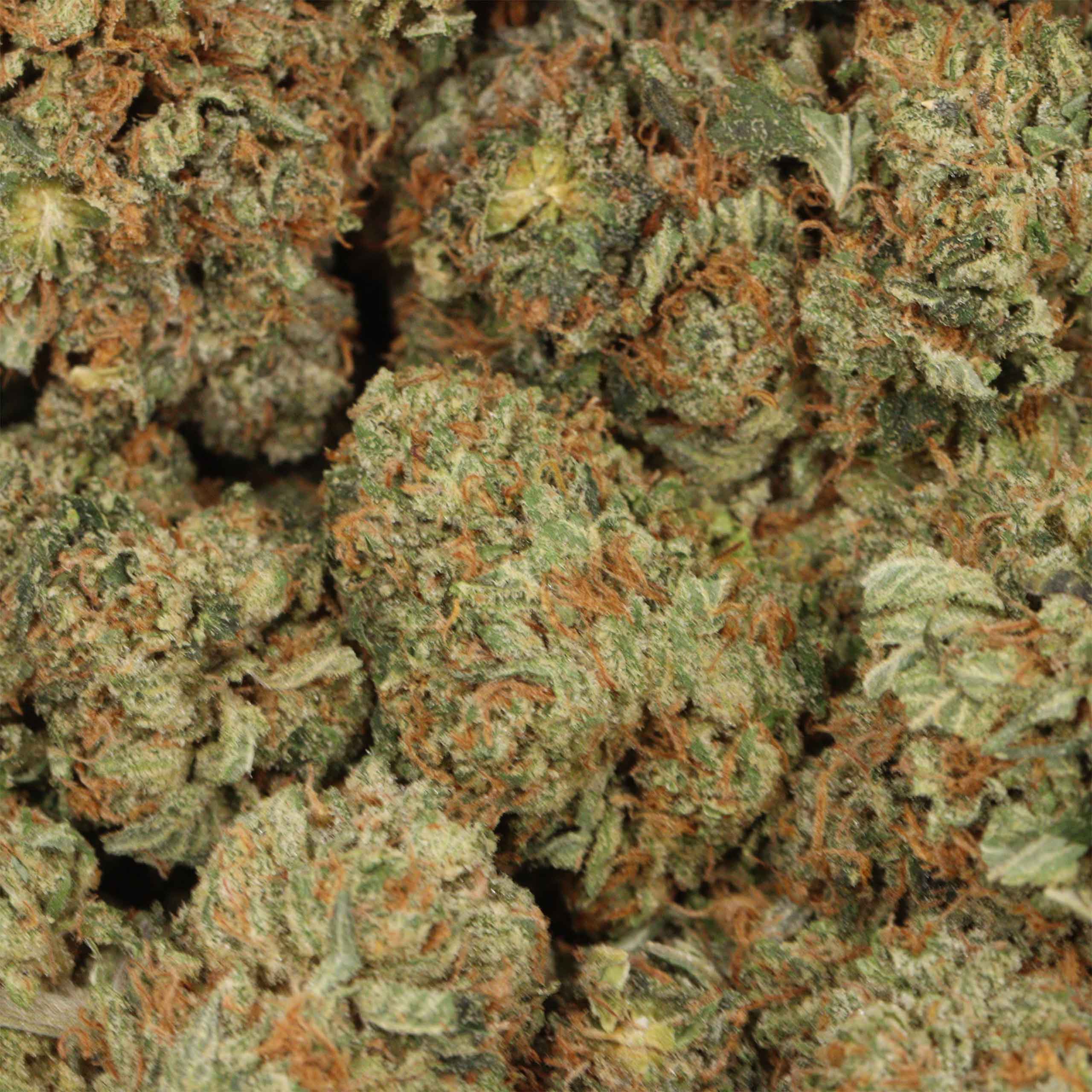 Pink OG - Image 3