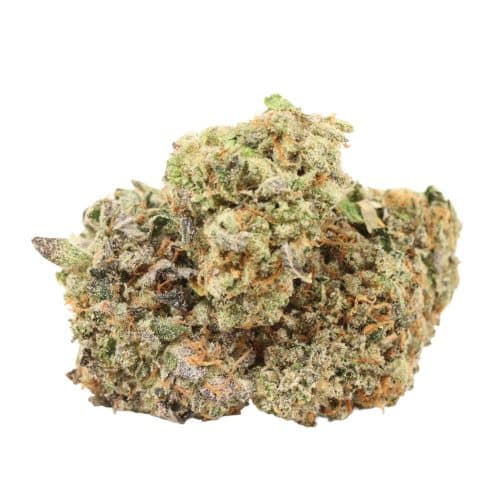Pink Pussy craft strain cannabis