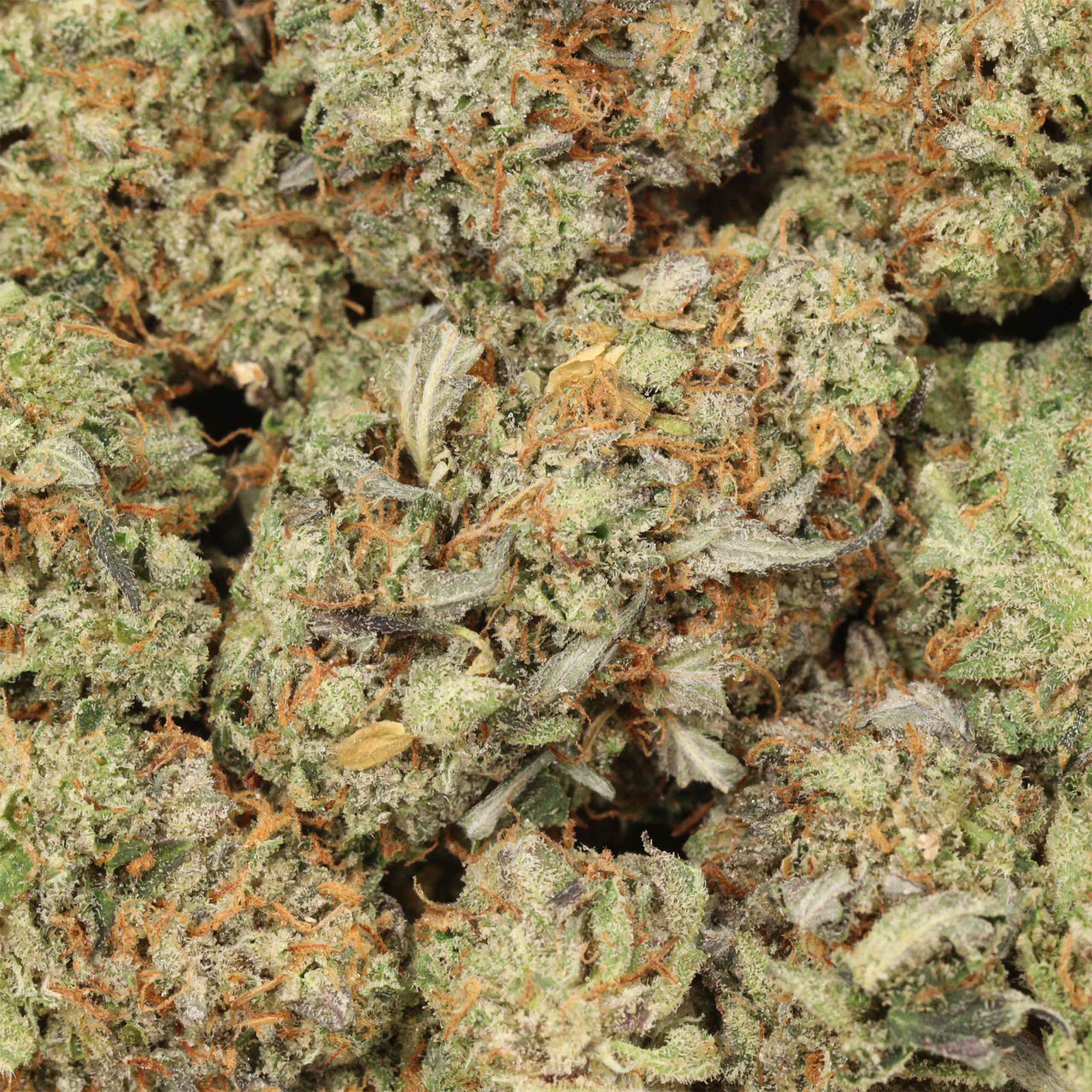 Pink Pussy AAAA+ Indica Craft - Image 3