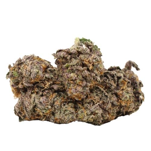 Purple Banana Breath craft strain cannabis