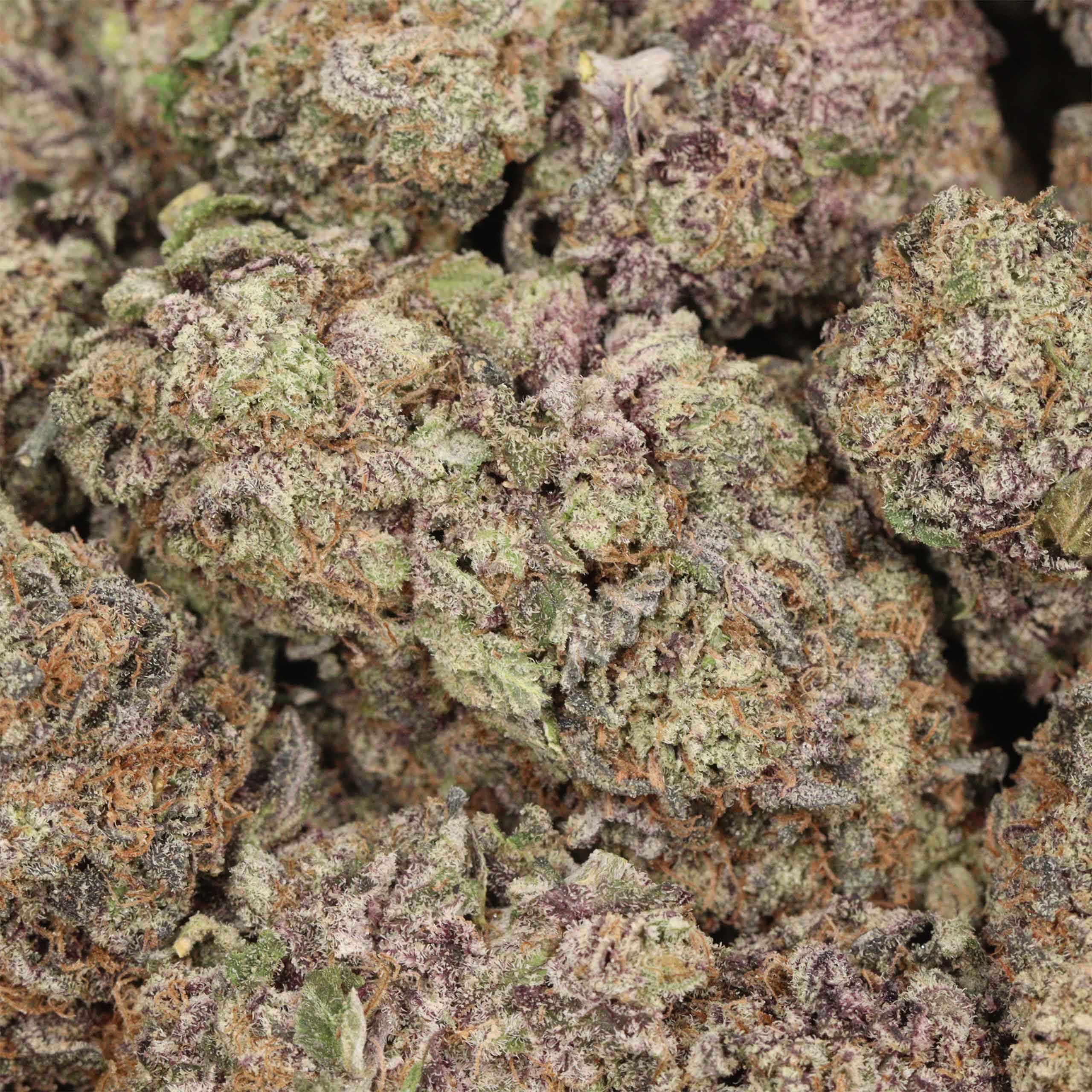 Purple Banana Breath AAAA+ Indica Craft - Image 3