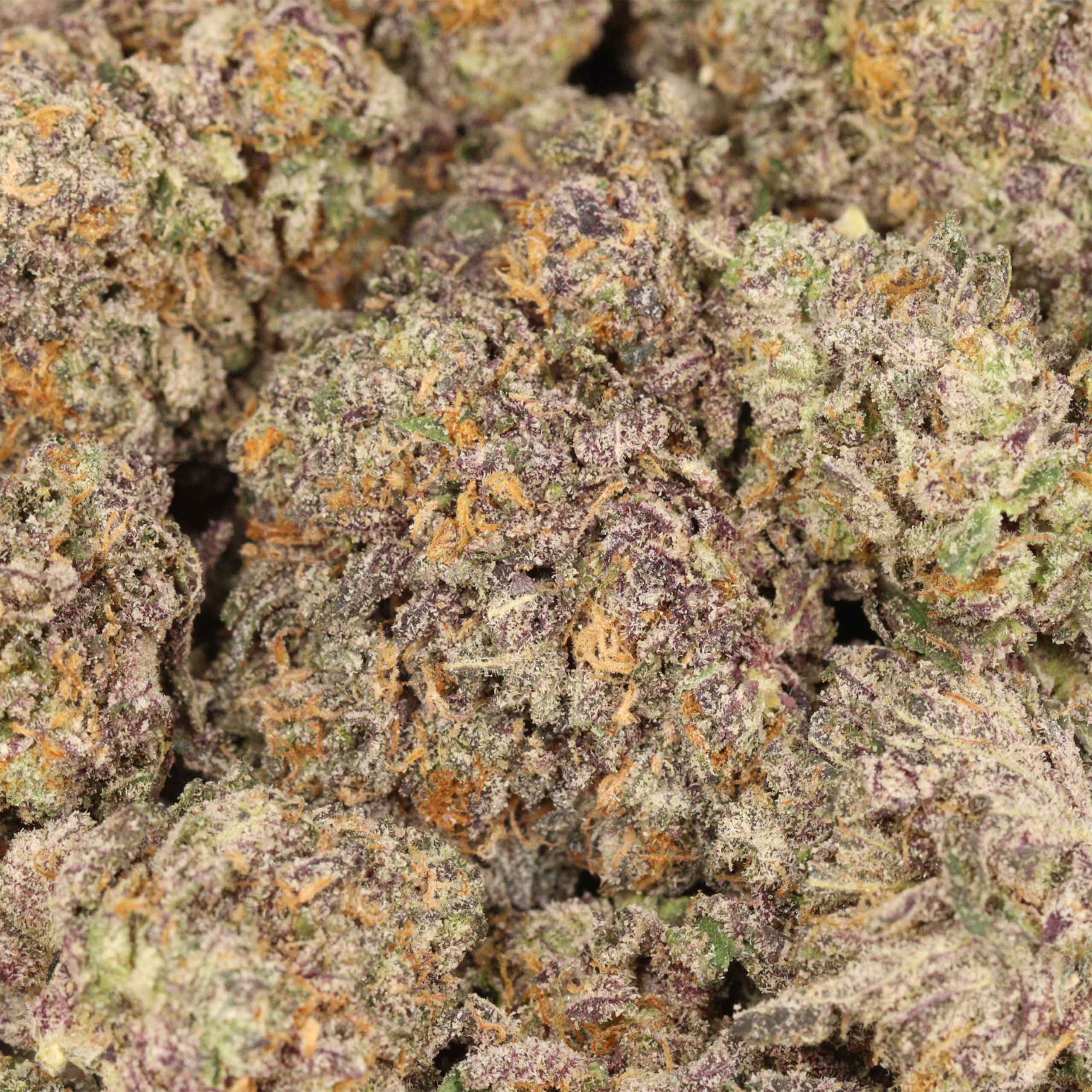 Purple Banana Breath AAAA+ Indica Craft - Image 3