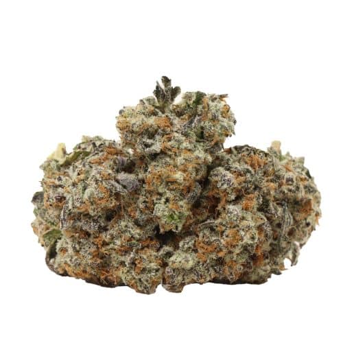 Purple Dank Breath craft strain cannabis