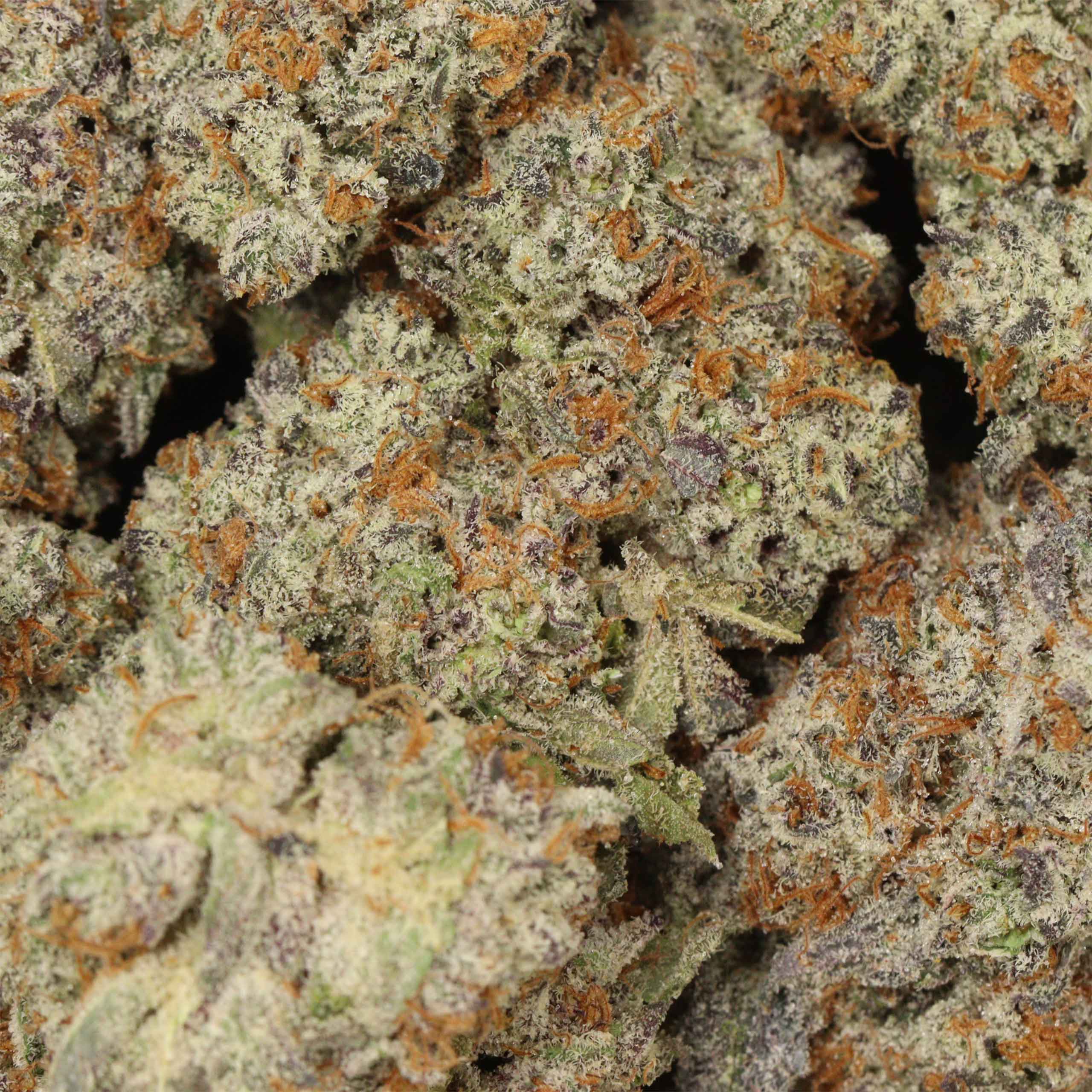 Purple Dank Breath AAAA+ Indica Craft - Image 3