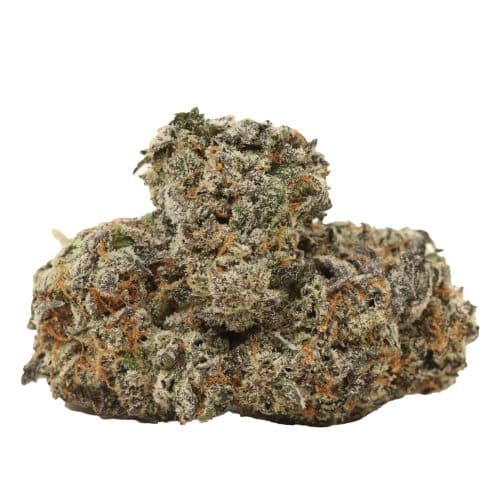 Purple Diamond strain cannabis