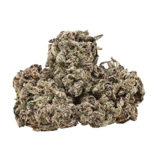 Purple Kush strains cannabis