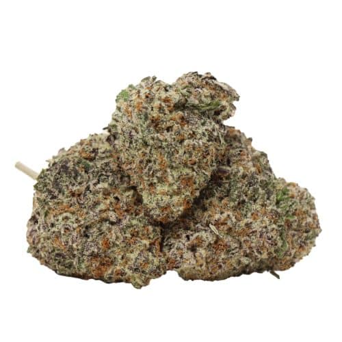 Purple Queen craft strain cannabis