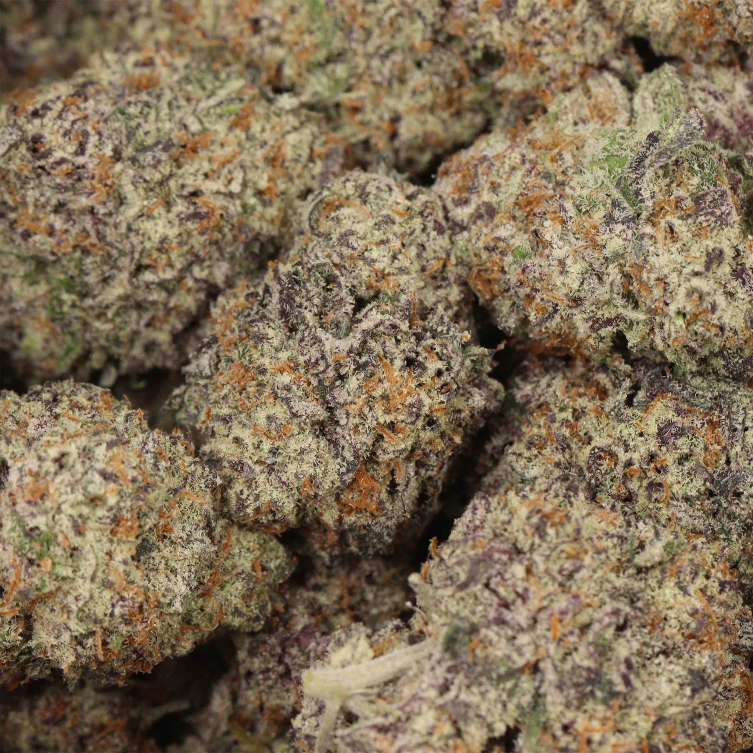Purple Queen AAAA+ Indica Craft - Image 3