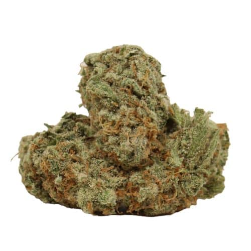Silver Haze strain cannabis