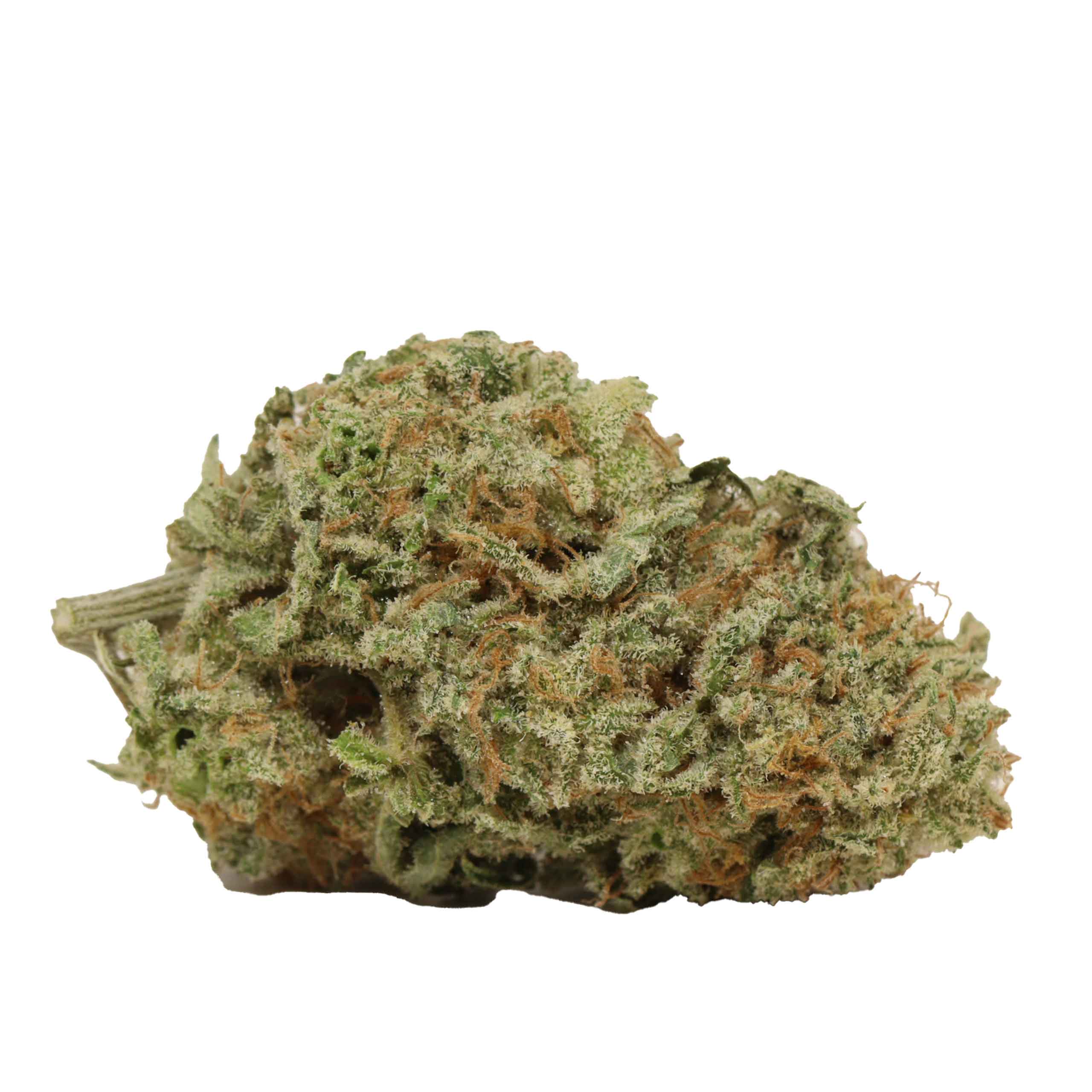 Silver Haze - Image 2
