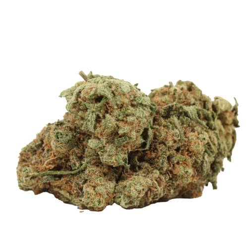 Sunset Sherbert strain cannabis