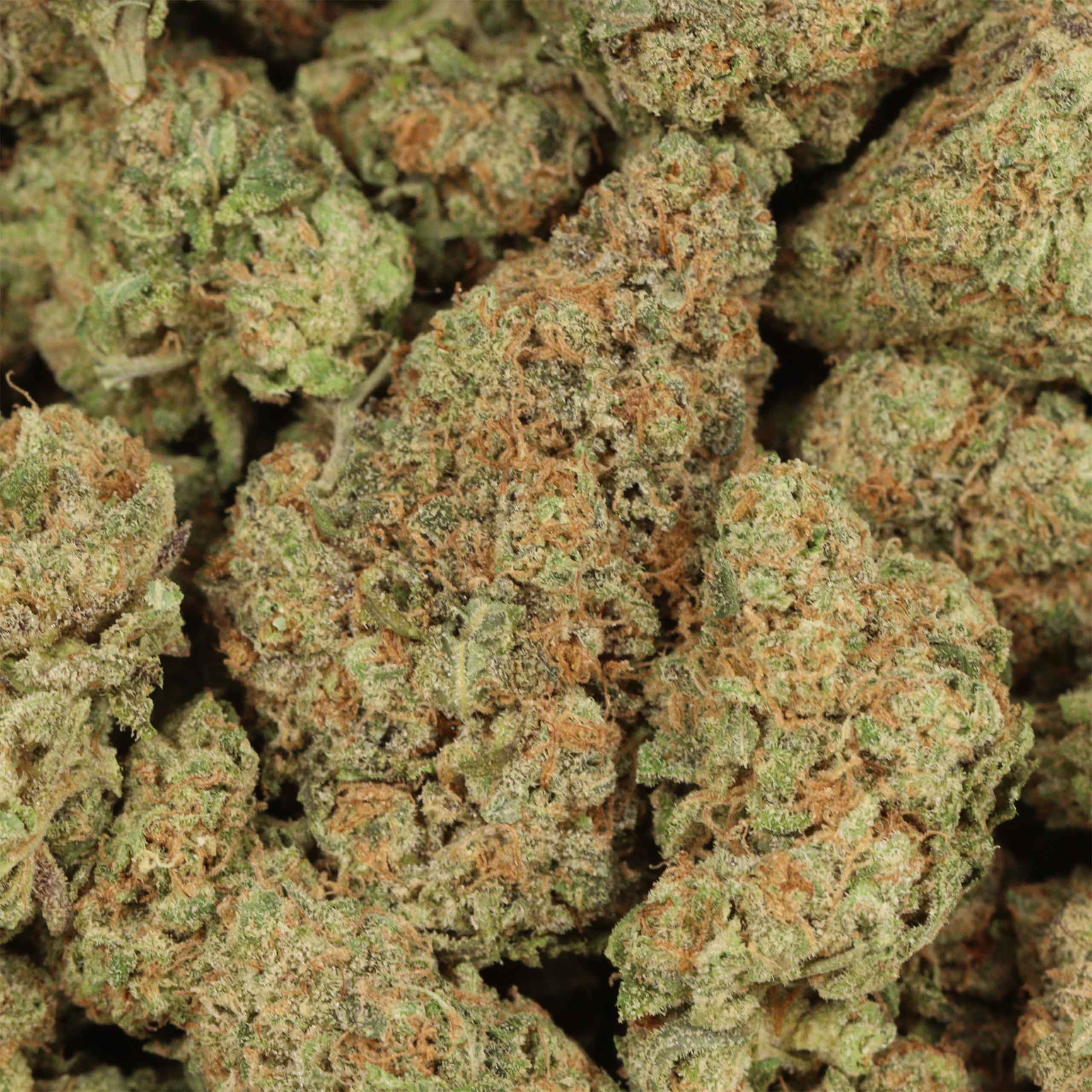 Sunset Sherbert - Image 3