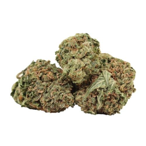 Tom Ford Death Bubba strain cannabis