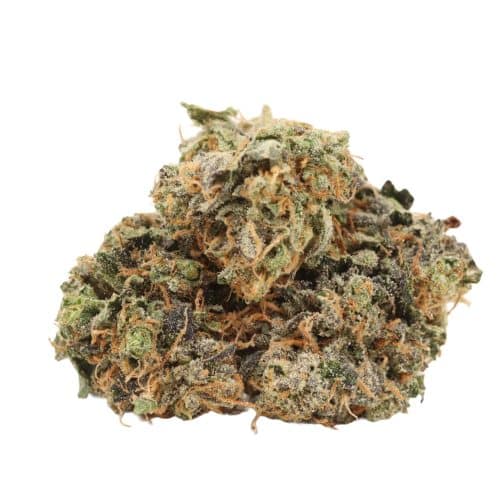 Tom Ford Death Bubba strain cannabis