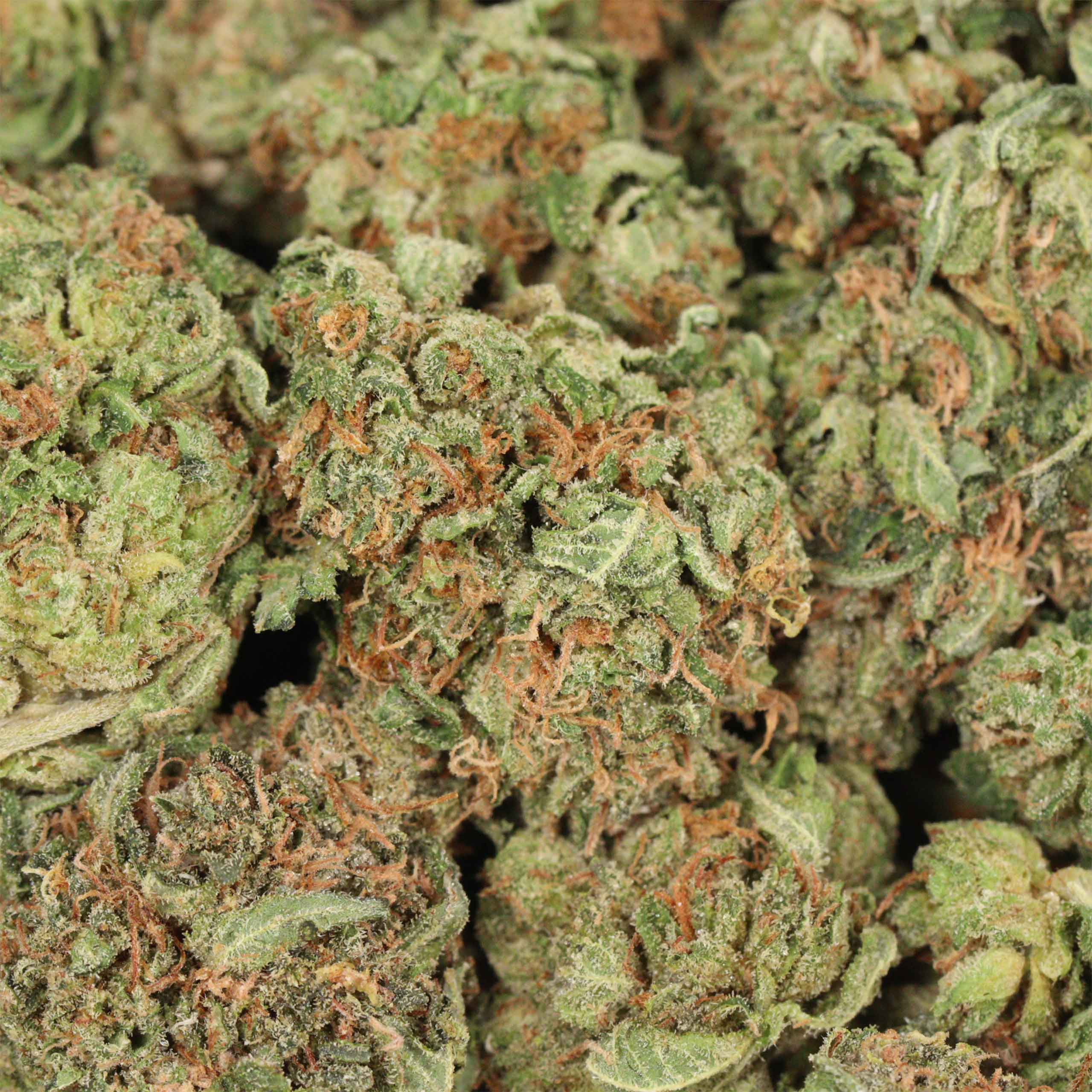 Tom Ford Death Bubba - Image 3