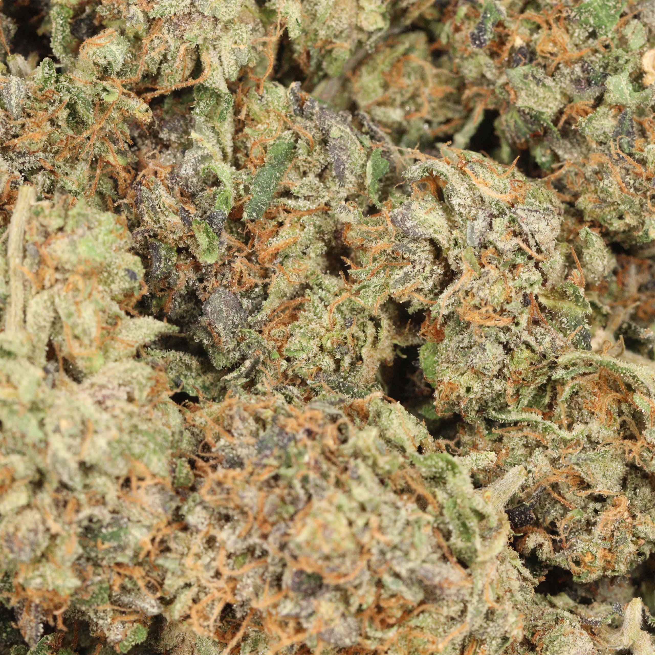 Tom Ford Death Bubba - Image 3