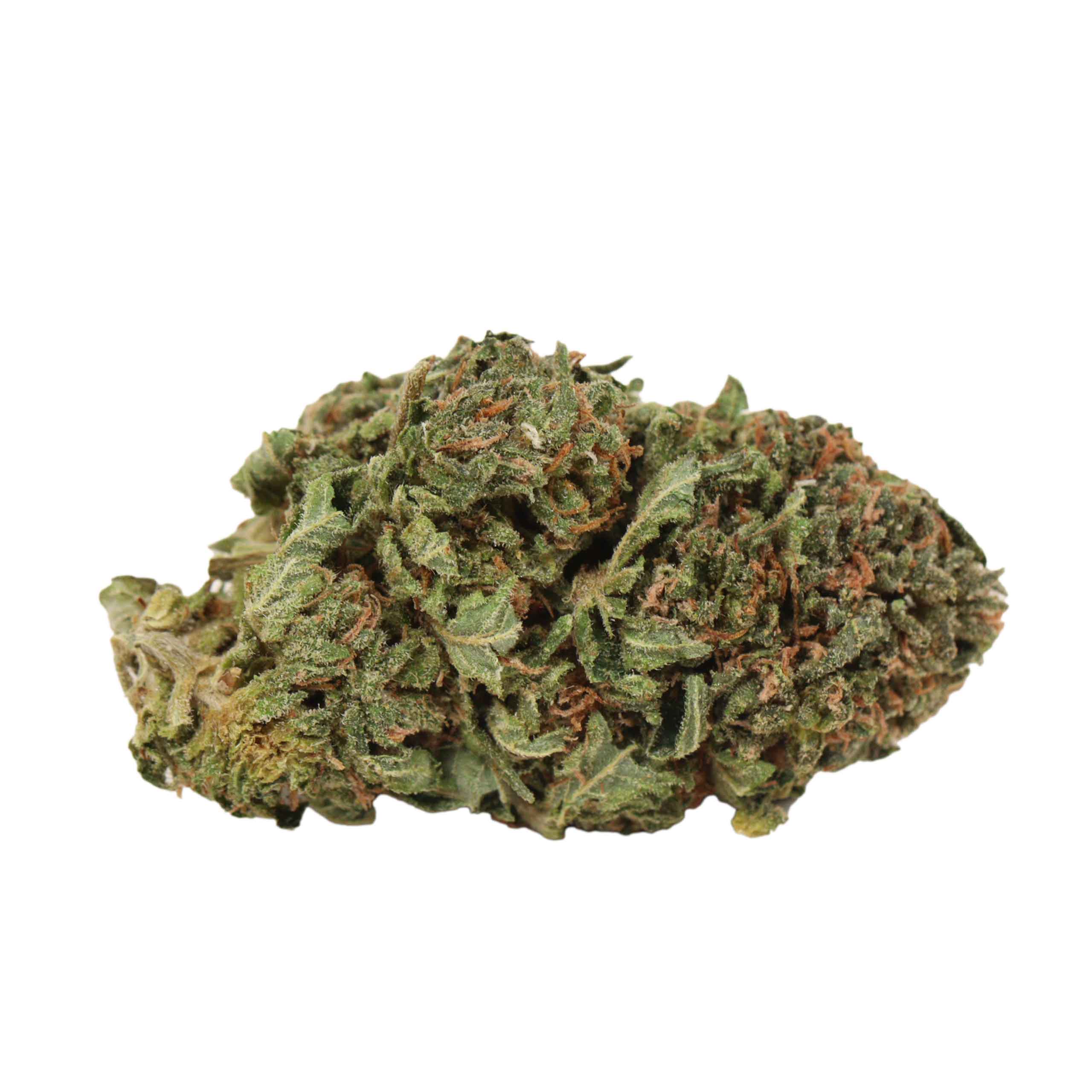 Tom Ford Death Bubba - Image 2