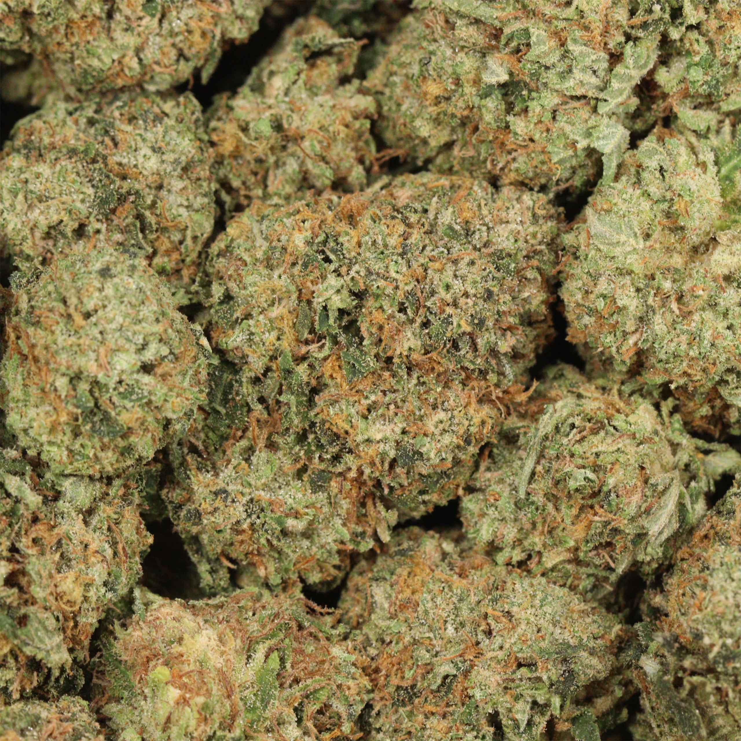 Tom Ford Pink Kush - Image 3