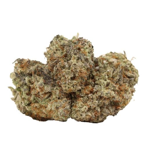 Tropicana Jet Fuel strain cannabis