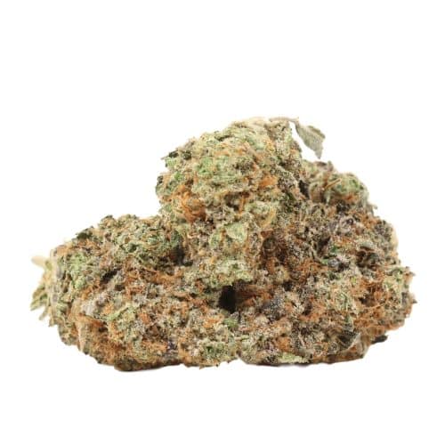 Tuna Kush craft strain cannabis